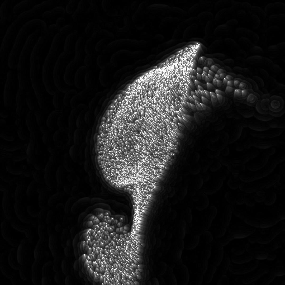 Monochrome cellular organism formed by a reaction-diffusion field